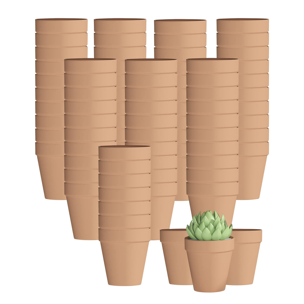 Fcacti front packaging of 80 mini terracotta pots shows bulk value and consistency