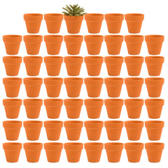 Fcacti front view of 54 mini terracotta pots showing quantity and neutral finish for uniform displays