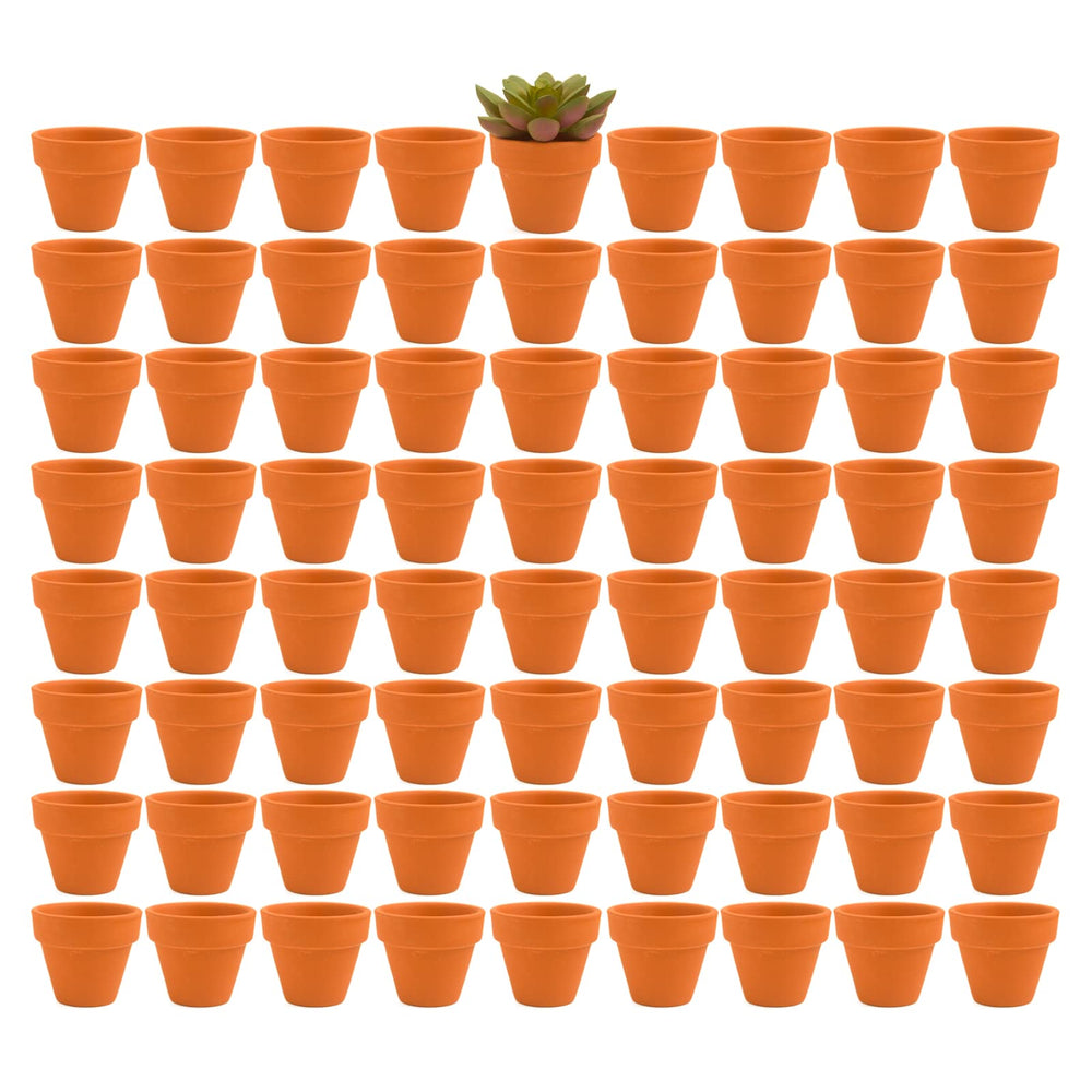 Fcacti front view of 72 terracotta pots showing value and bulk