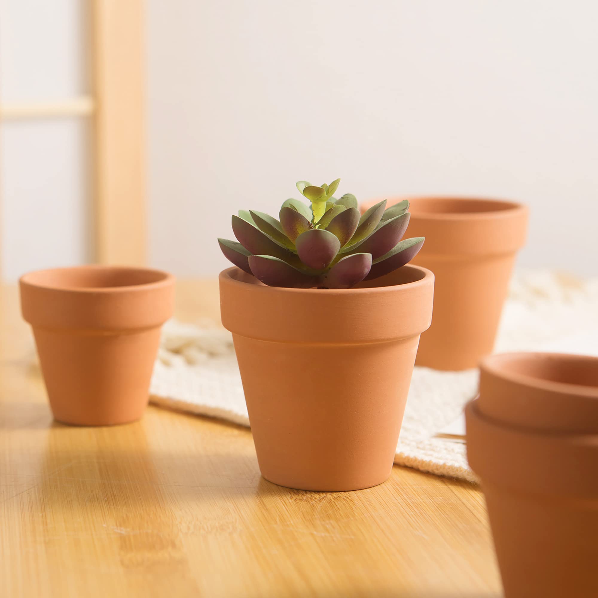 Fcacti mini pot next to ruler showing accurate 2.1-inch scale for fitting small succulents