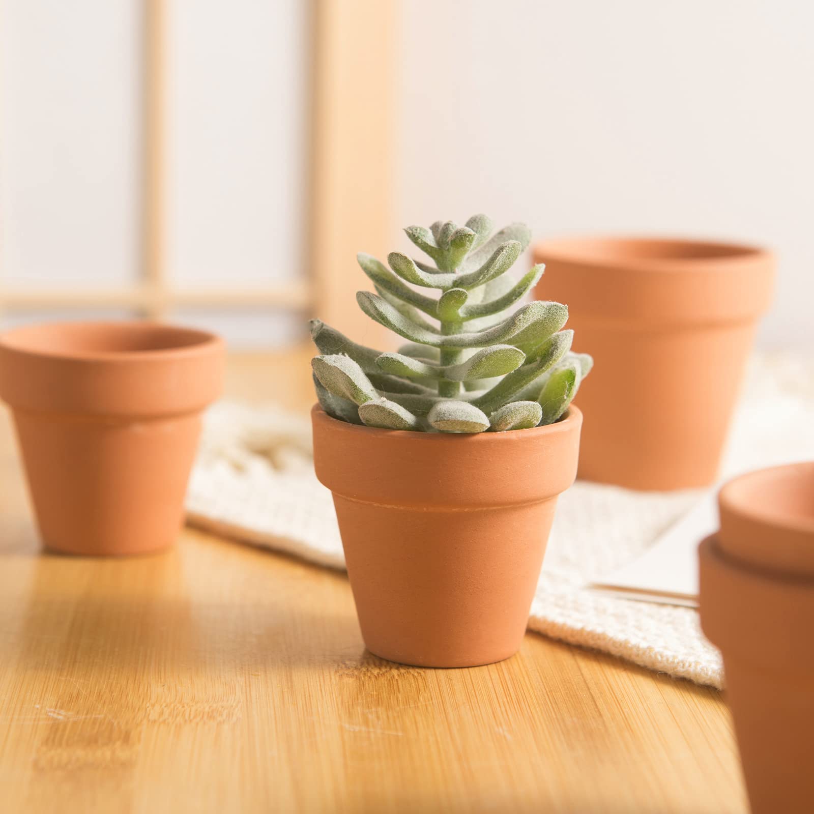 Fcacti clay texture and rim focus showing natural breathable surface
