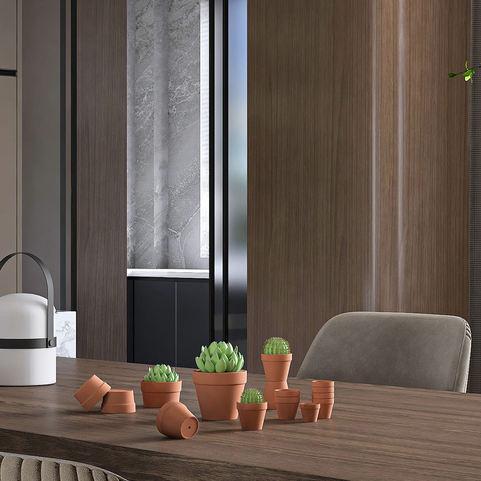 Fcacti pots arranged on a windowsill with succulents demonstrating decorative appeal