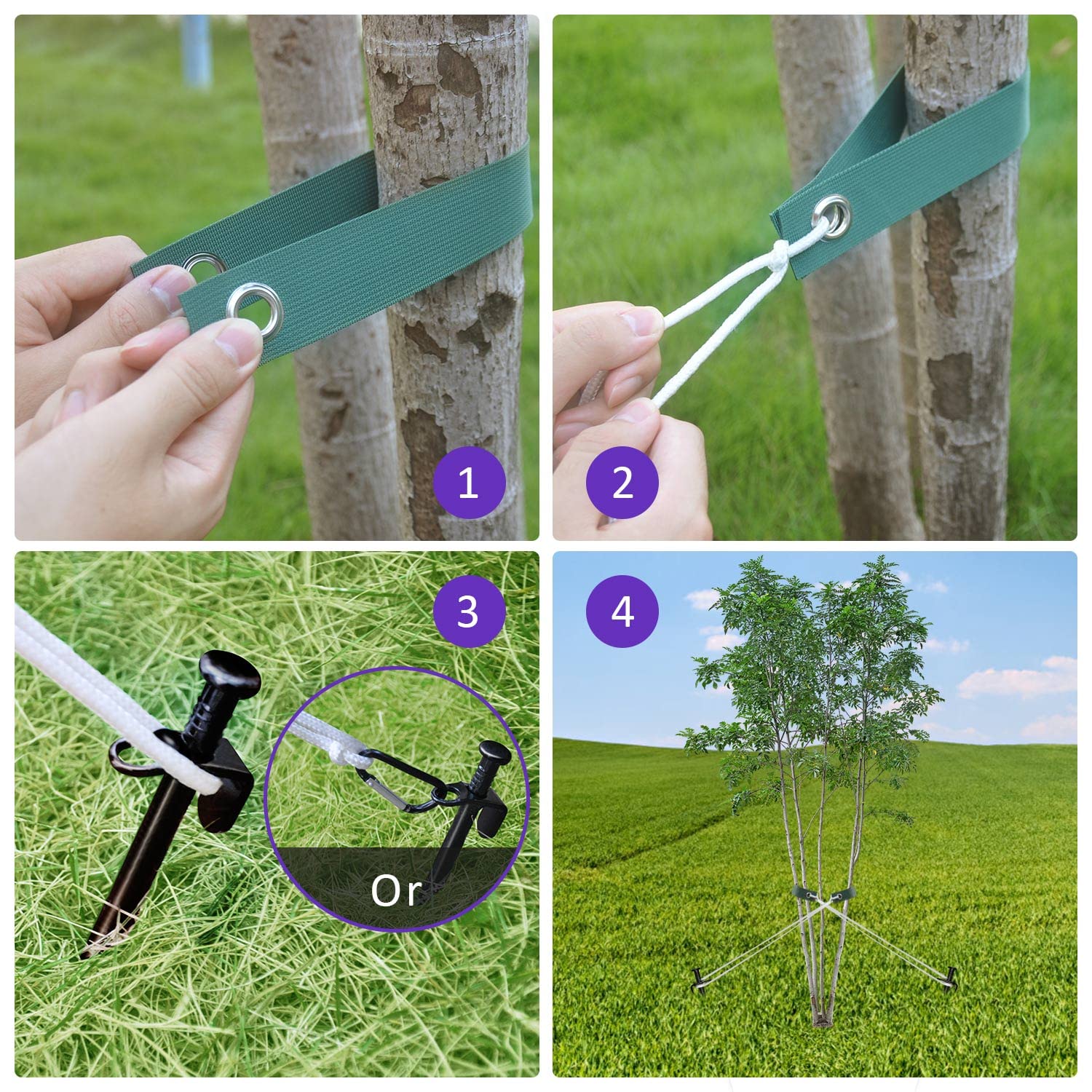 FCENDS tree strap tie detail with padding protecting trunk while securing support