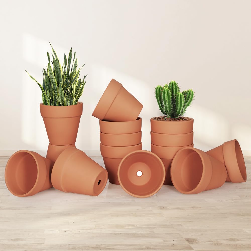 FCFKUK pots with small succulents on a windowsill, maximizing indoor light