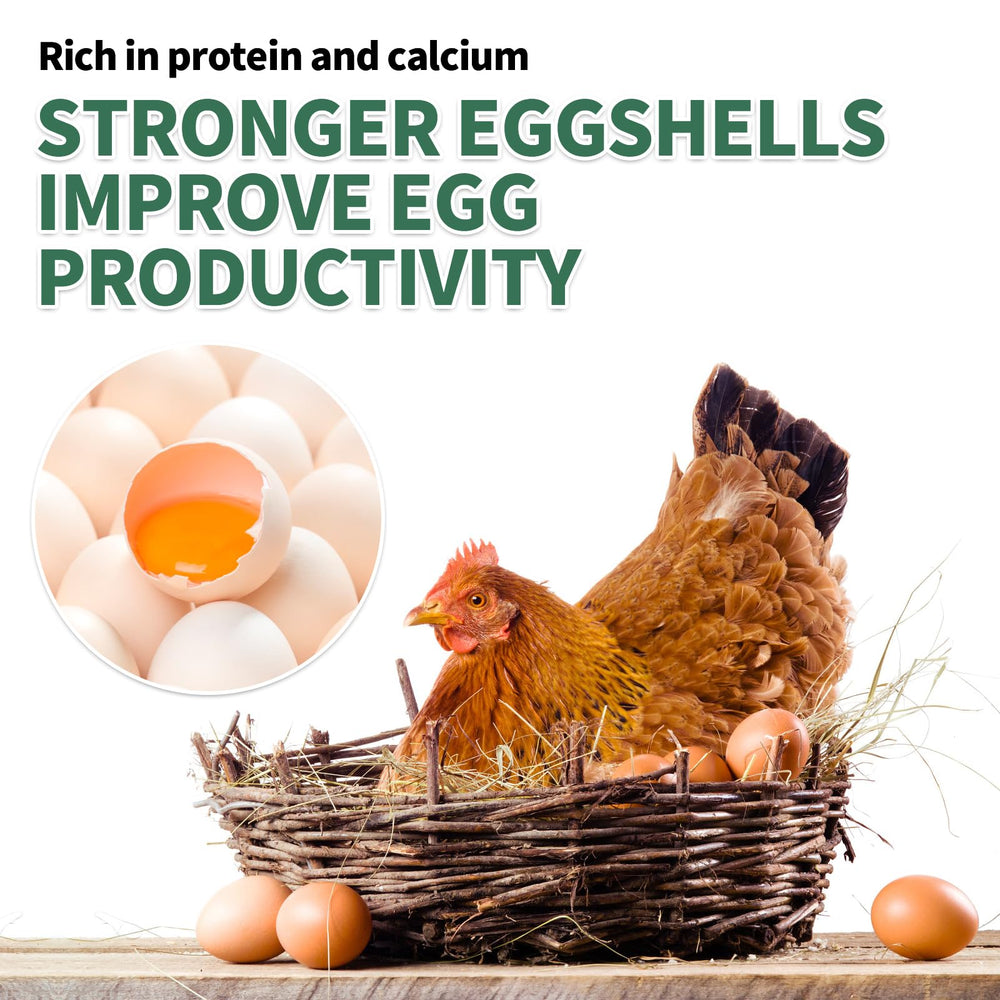 FCI GRUBS etiqueta nutricional indicando calcio y proteína