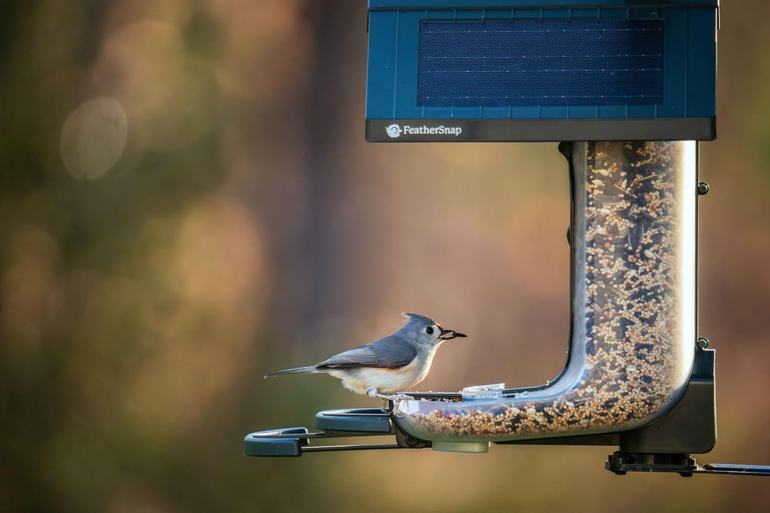 FeatherSnap app live view on phone showing real-time alerts and sharing benefit