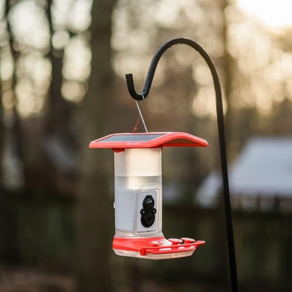 FeatherSnap label showing STEM.org authentication, supports educational use