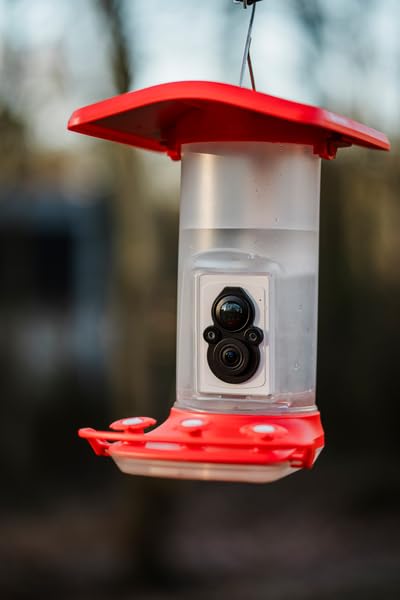 FeatherSnap lifestyle backyard setting with feeder, enhances garden viewing