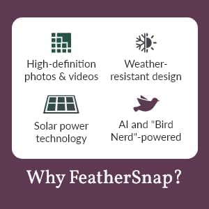 FeatherSnap mounted on a pole demonstrating stable installation benefit