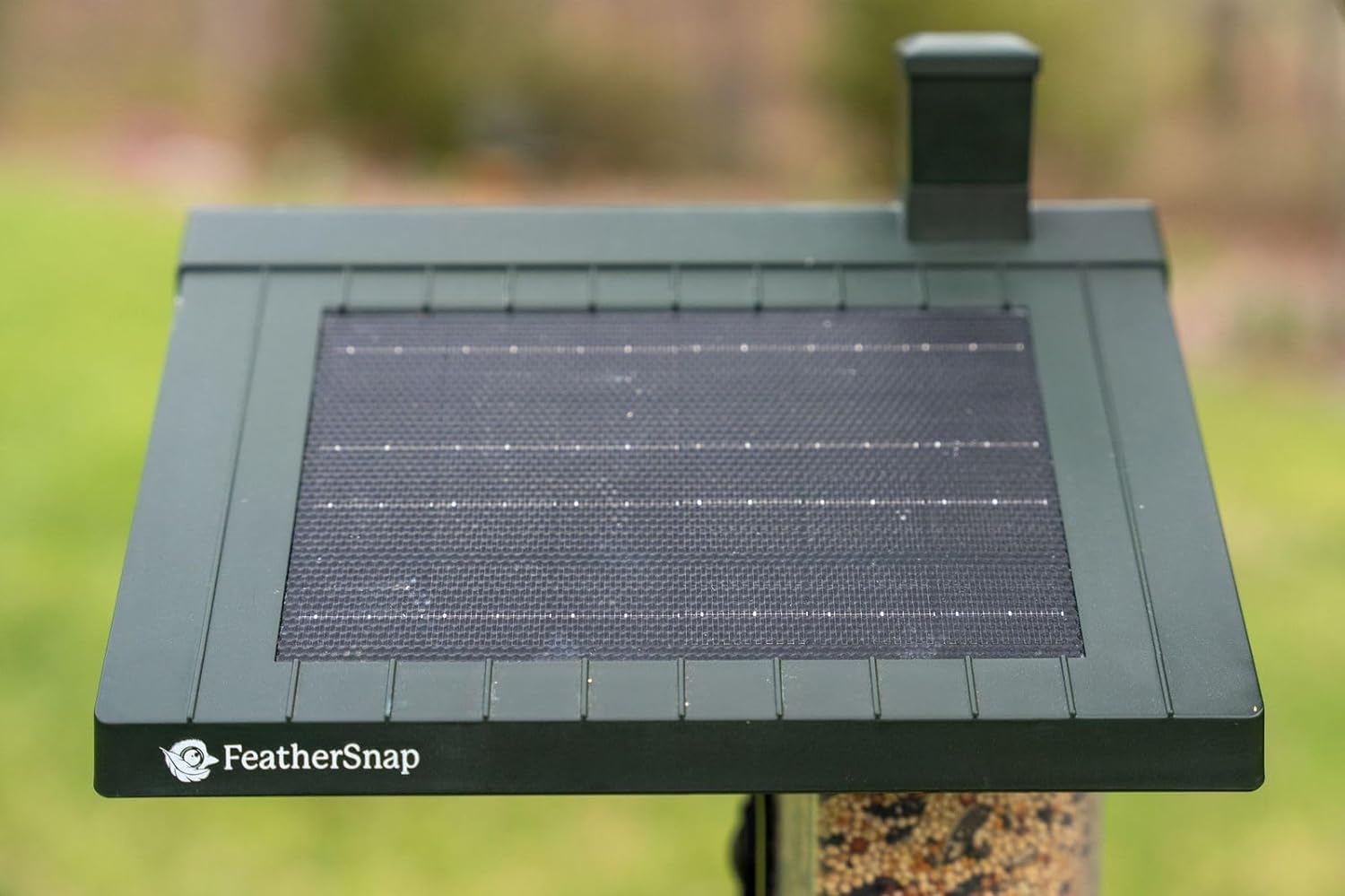 FeatherSnap perches and visible seed levels showing simultaneous feeding benefit