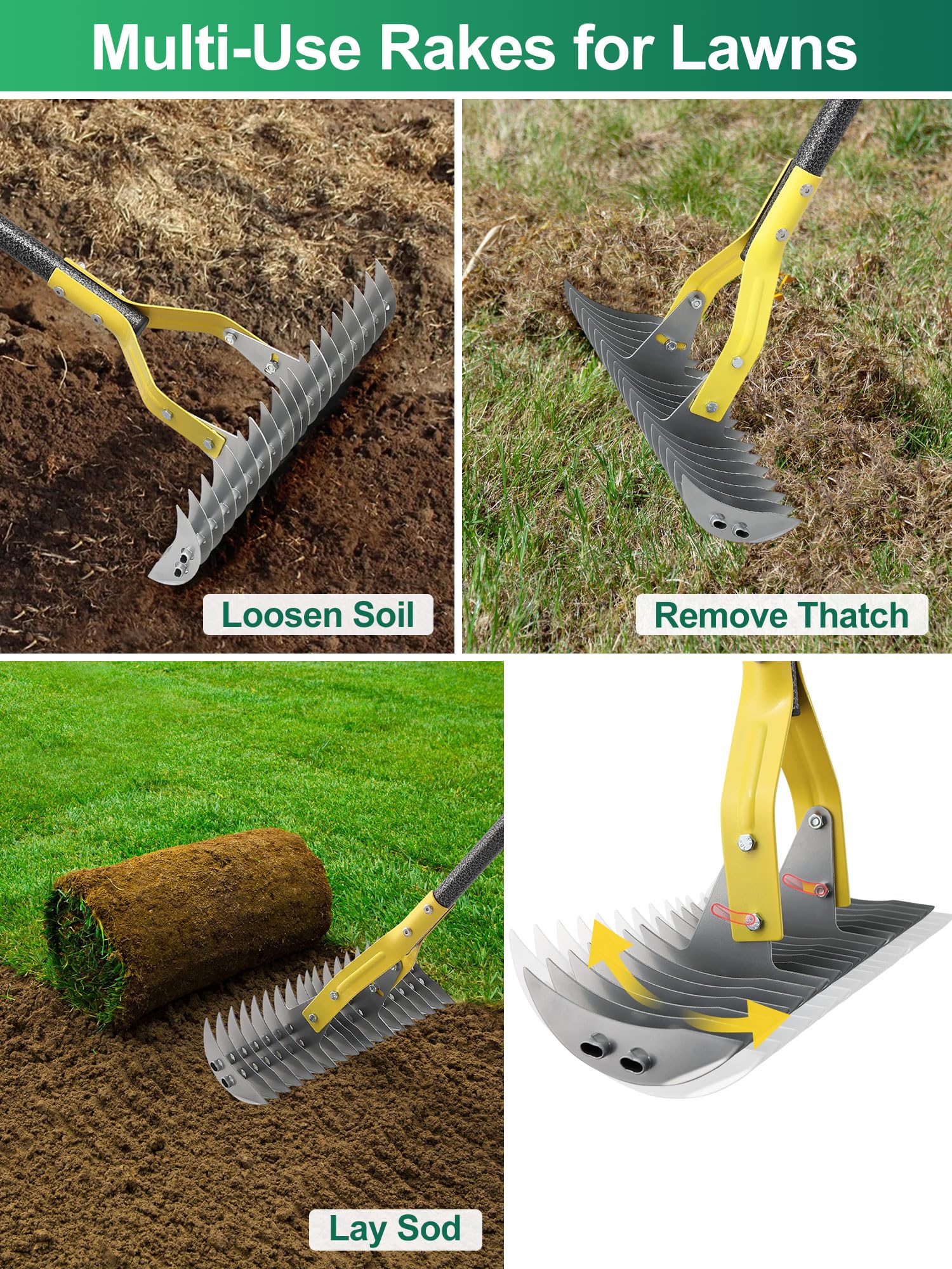 Feblomst beside shoe showing scale for easy storage and handling
