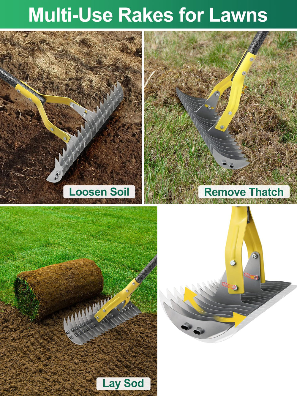 Feblomst beside shoe showing scale for easy storage and handling