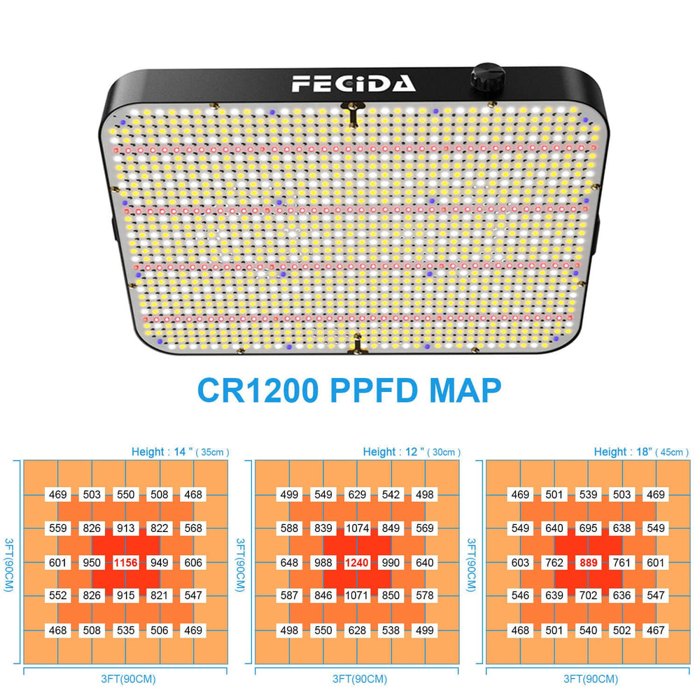 FECiDA 2026 daisy chain connection showing neat multi-light setup benefit