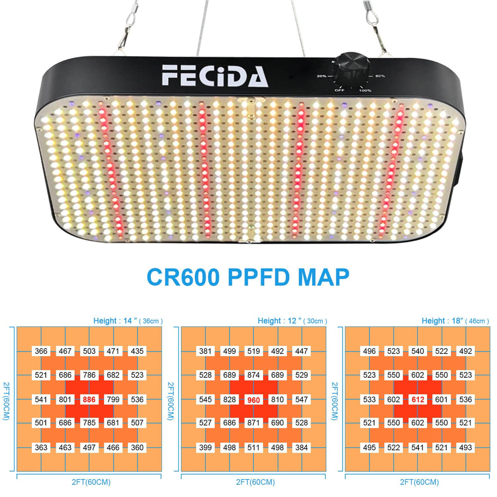 FECiDA daisy chain ports image showing input and output for scalable multi-unit setups