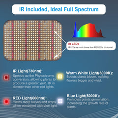 FECiDA dimmer and daisy-chain ports visible enabling smooth control and expansion
