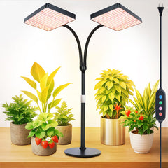 FECiDA front view on table showing compact design and bright light benefit