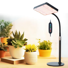 FECiDA front view on table showing compact lamp and stable base for indoor plants