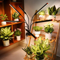 FECiDA clip detail with sturdy clamp for secure mounting and steady plant positioning