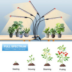 FECiDA Gamechanger close-up of LEDs and lens highlighting concentrated light delivery benefit
