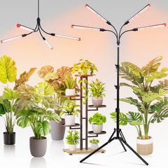 FECiDA Gamechanger front view showing bright full-spectrum lighting benefit
