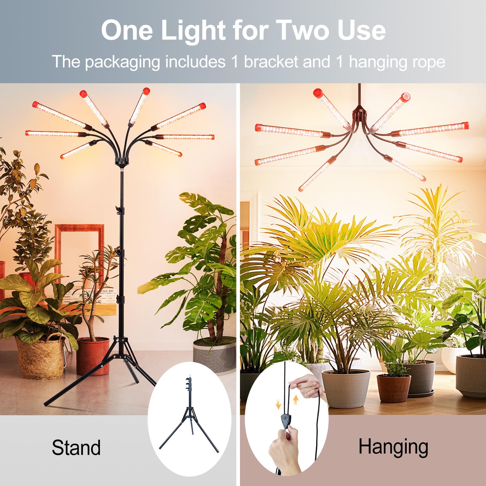 FECiDA on tripod stand illuminating a row of seedlings for even development
