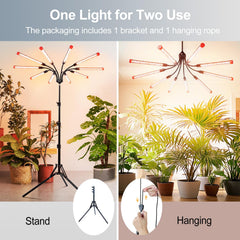 FECiDA Gamechanger tripod and height adjustment demonstrating scalable placement