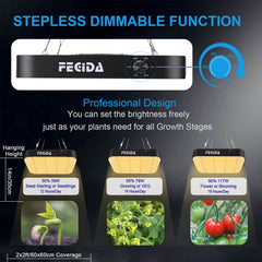 FECiDA LED chip closeup highlighting full-spectrum diodes for balanced growth