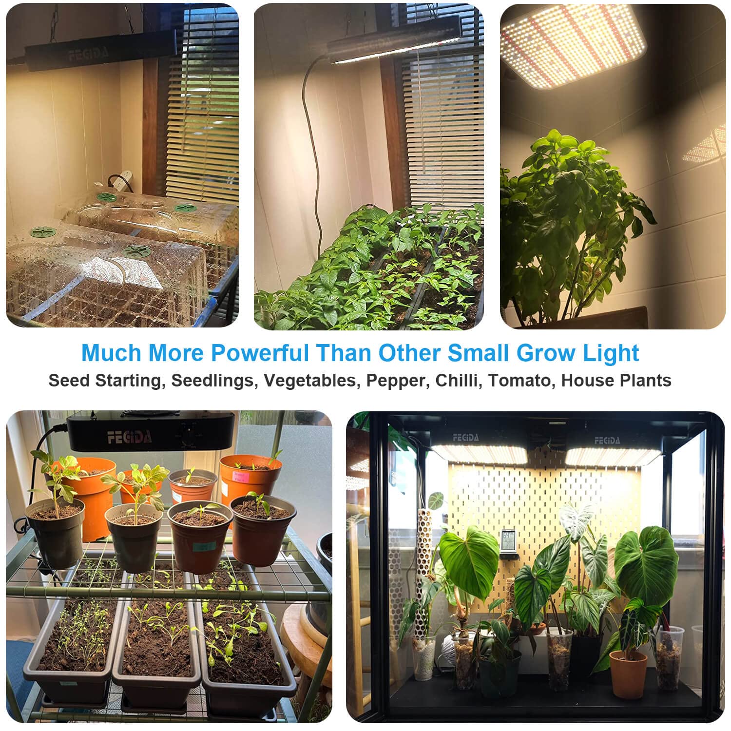 FECiDA beside common household items to show compact size and easy installation