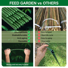 FEED GARDEN 24in stake supporting tomato plant shows tidy growth benefit