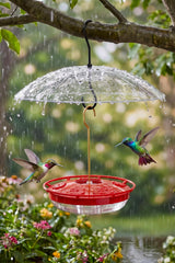 FEED GARDEN front view of feeder attracting hummingbirds and easy refill