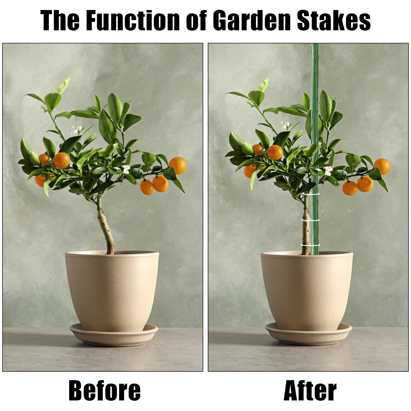 FEED GARDEN stake beside ruler showing 24-inch scale for accurate sizing benefit
