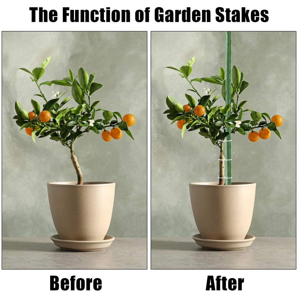 FEED GARDEN stake beside ruler showing 24-inch scale for accurate sizing benefit
