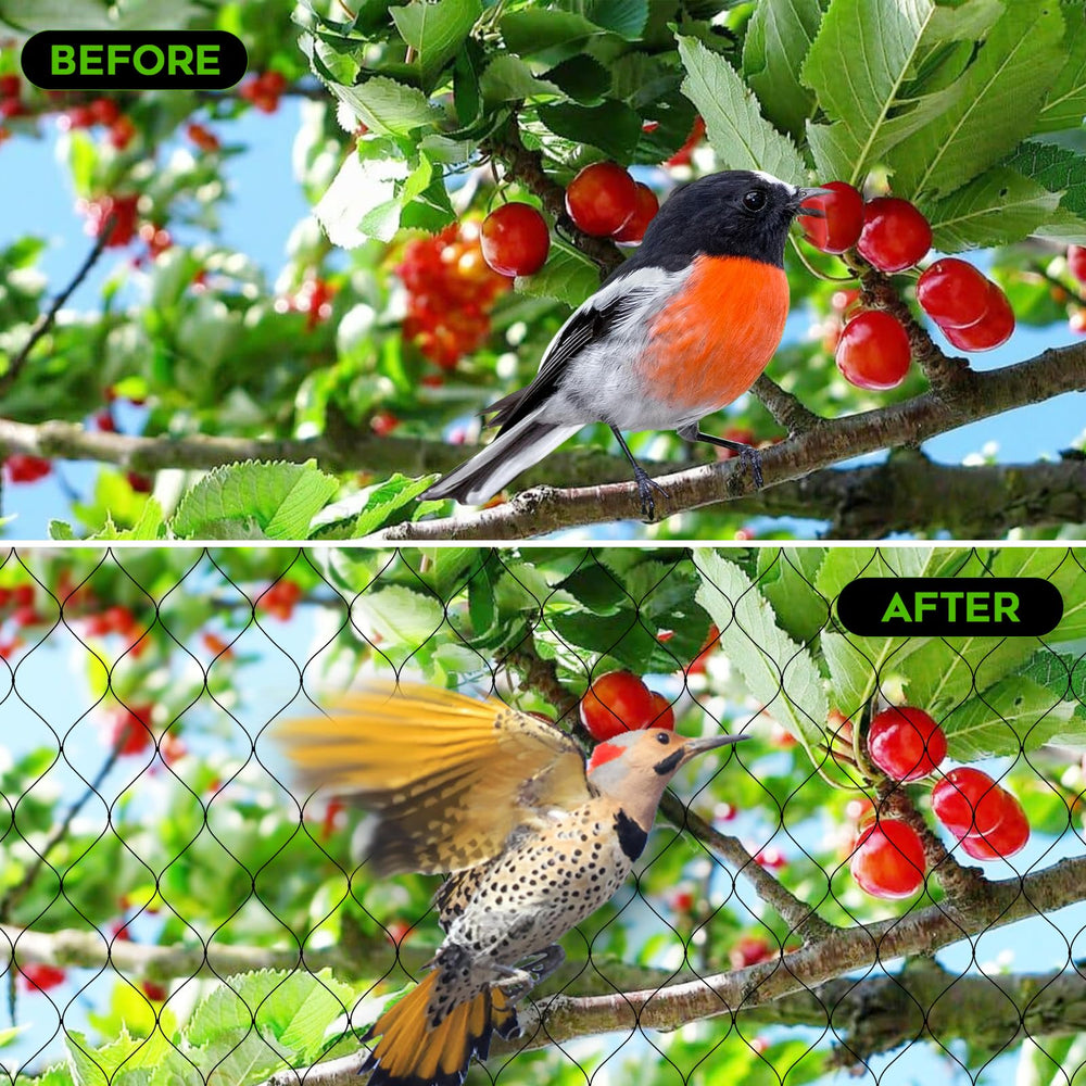 FEED GARDEN netting around backyard orchard demonstrating seasonal fruit protection benefit