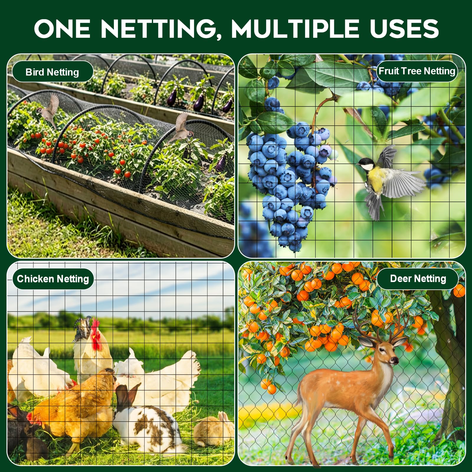 FEED GARDEN netting in use over raised bed protecting vegetables while allowing light
