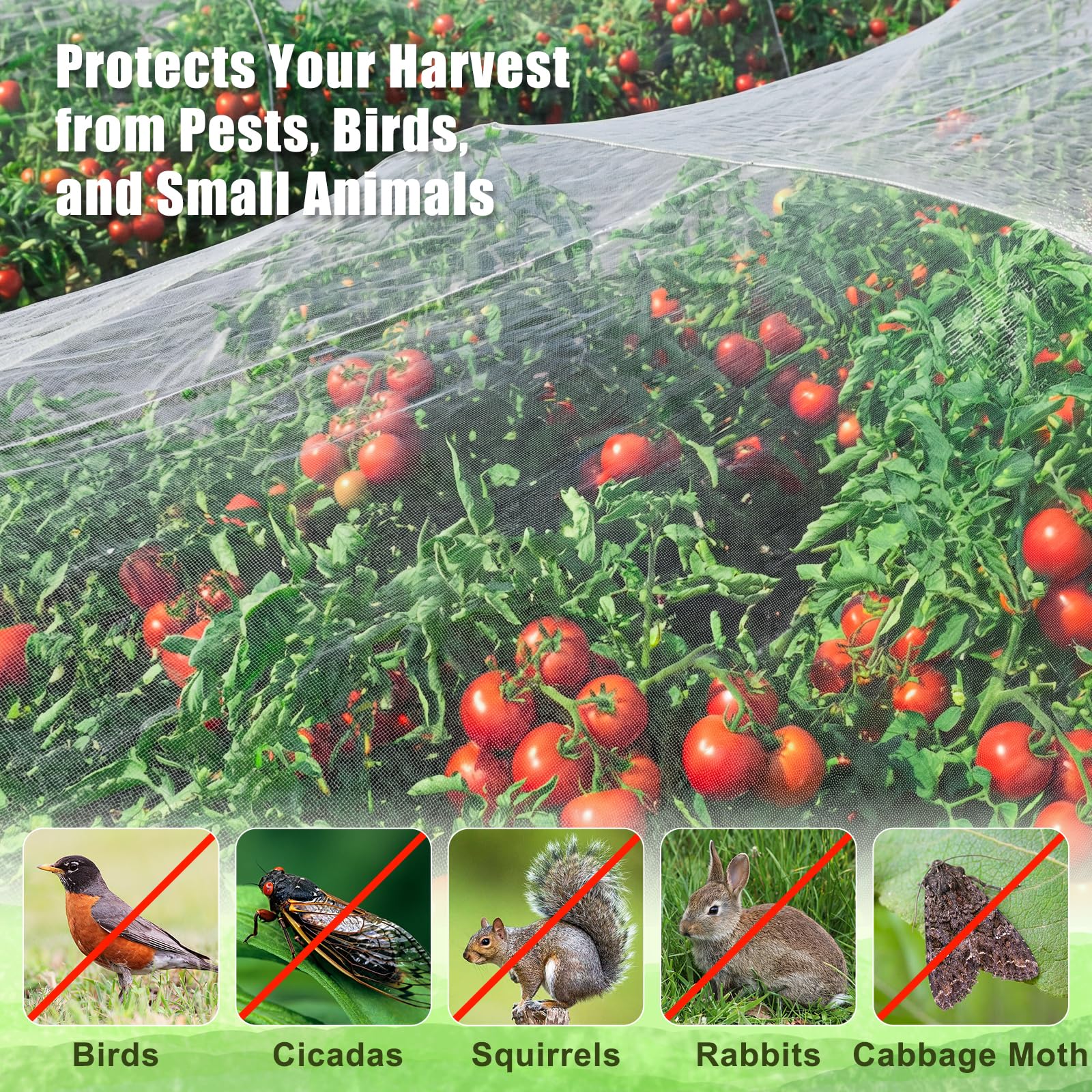 FEED GARDEN netting stretched over hoop tunnel shielding crops from birds