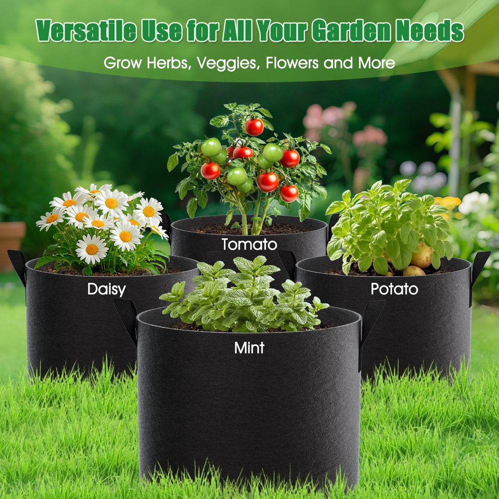 FEED GARDEN planted tomato in bag illustrating deep root space