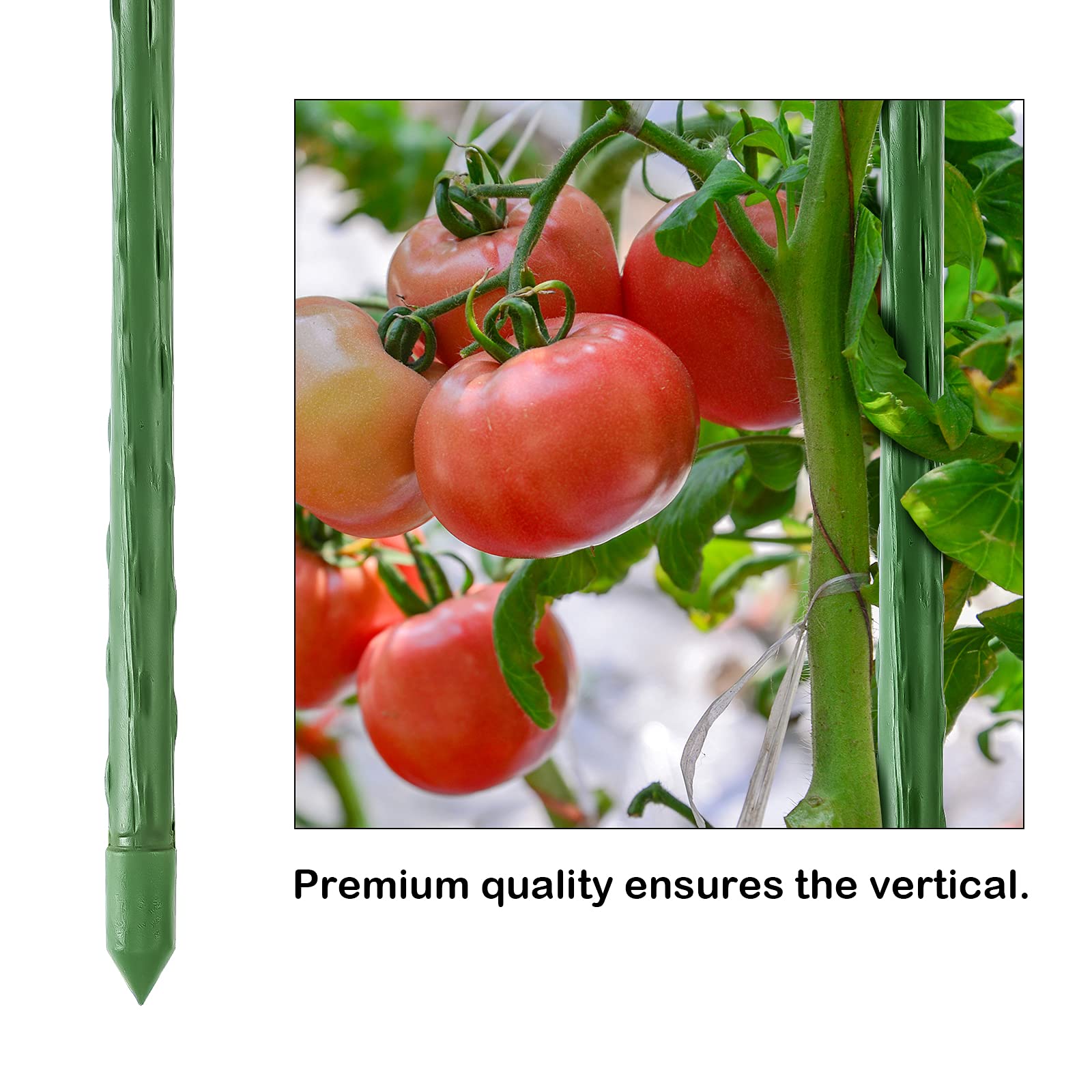 FEED GARDEN stake inserted in garden soil illustrating easy installation and stable support