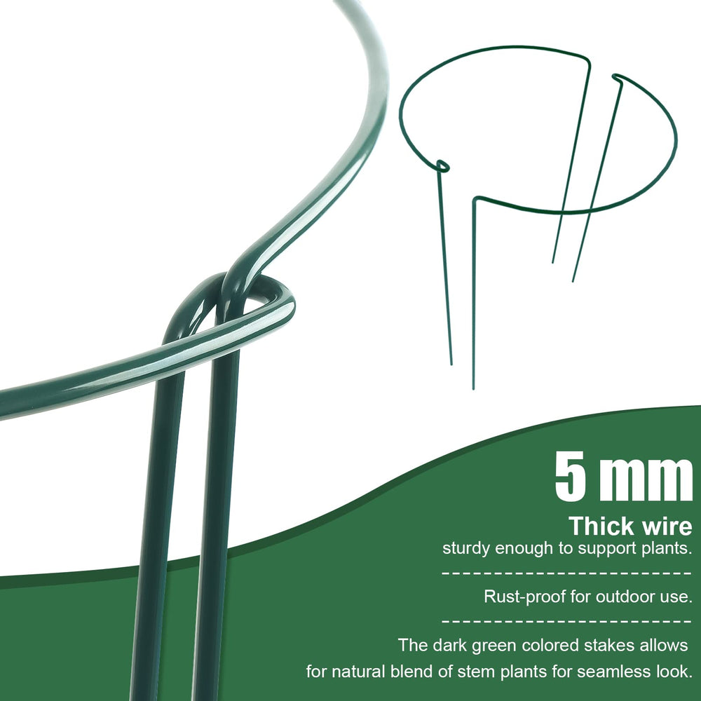 FEED GARDEN half-round rings supporting hydrangea bush for neater blooms