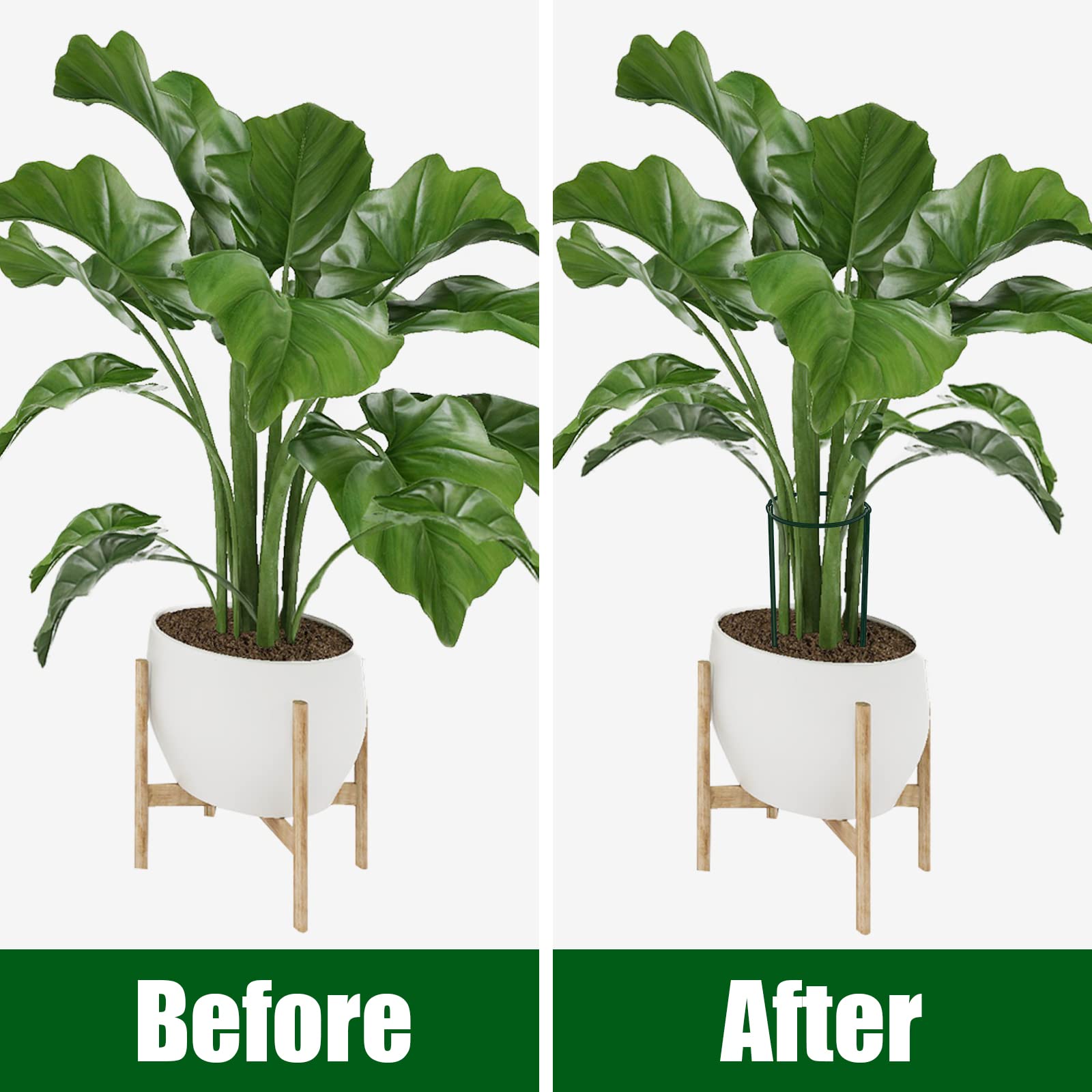 FEED GARDEN stakes installed in a container pot to stabilize tall plants