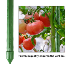 FEED GARDEN stake supporting a tomato plant for stronger upright growth