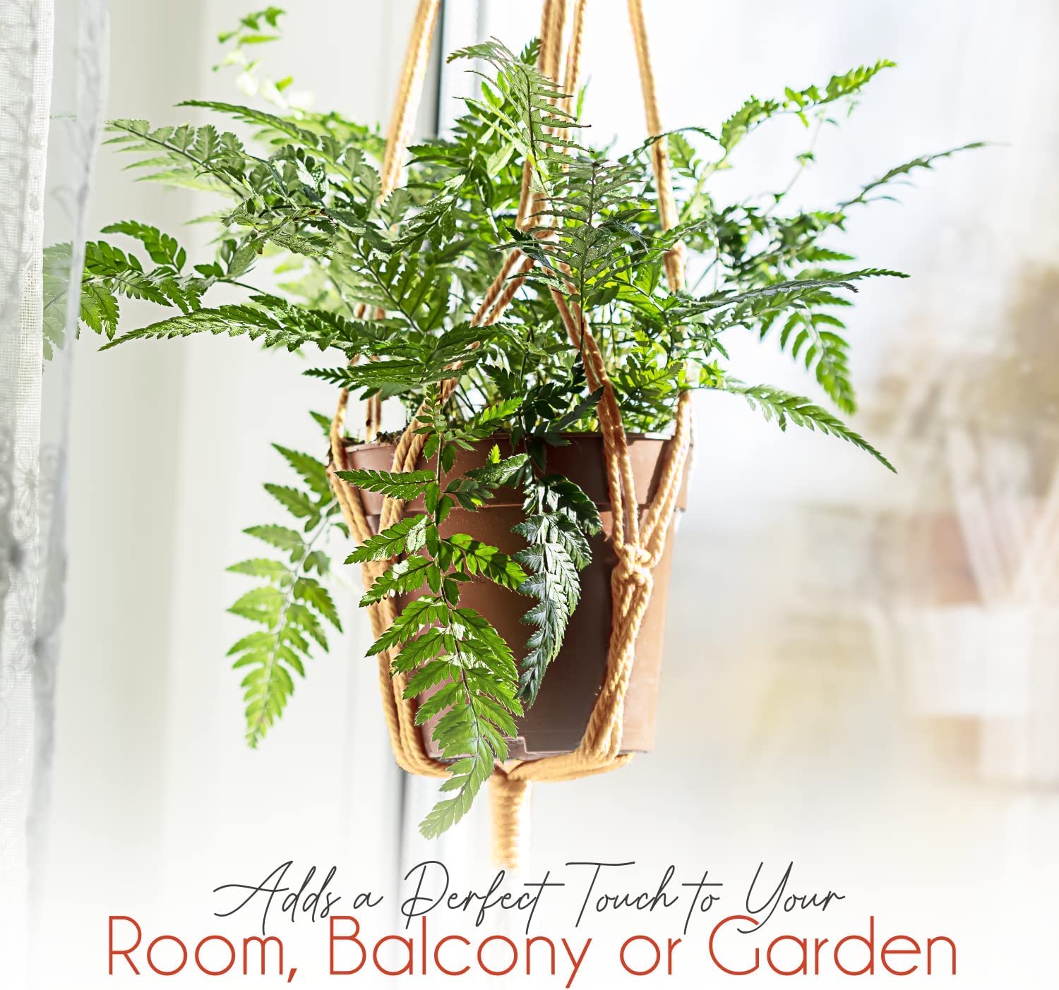 feedee hanger holding ceramic pot in use demonstrating space-saving vertical display