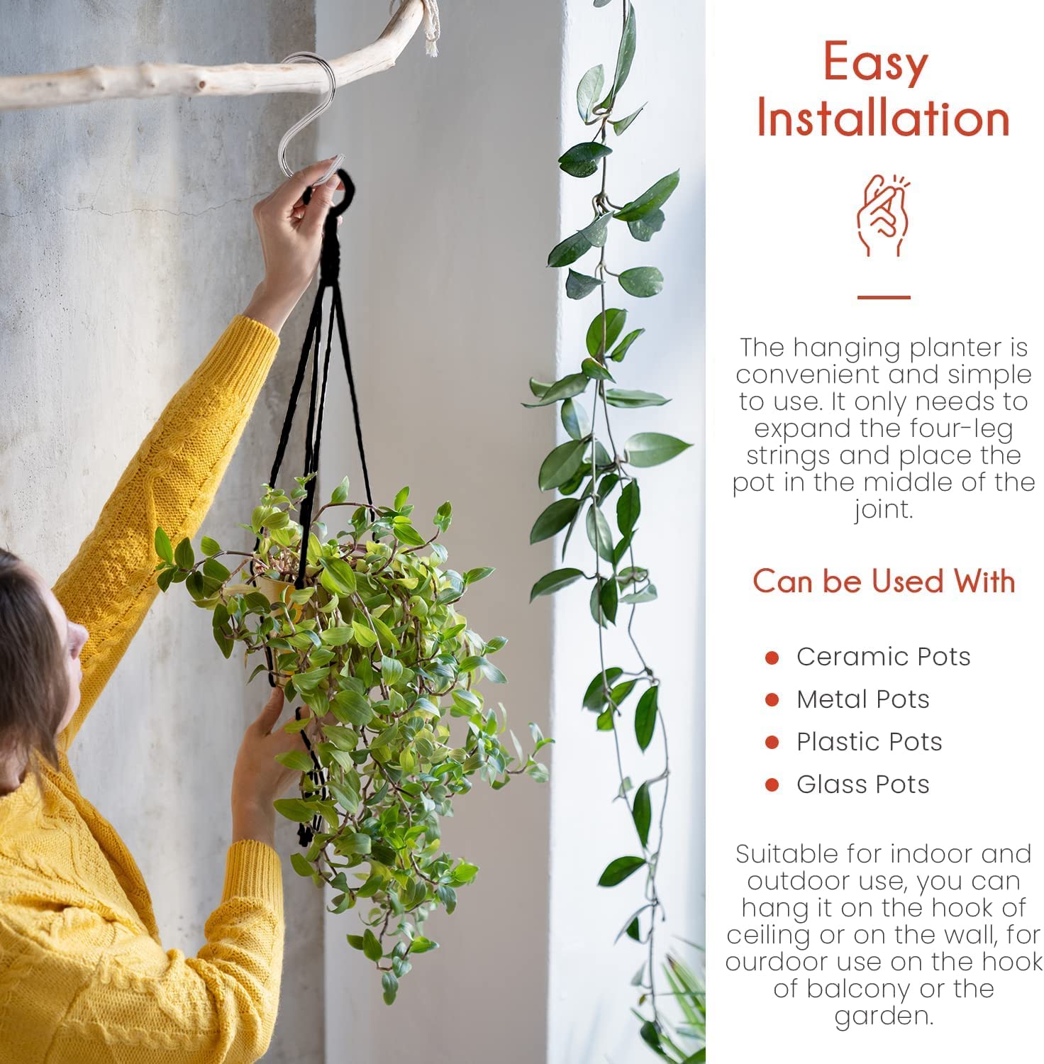 feedee three hangers in a living room showing vertical plant display saving shelf space