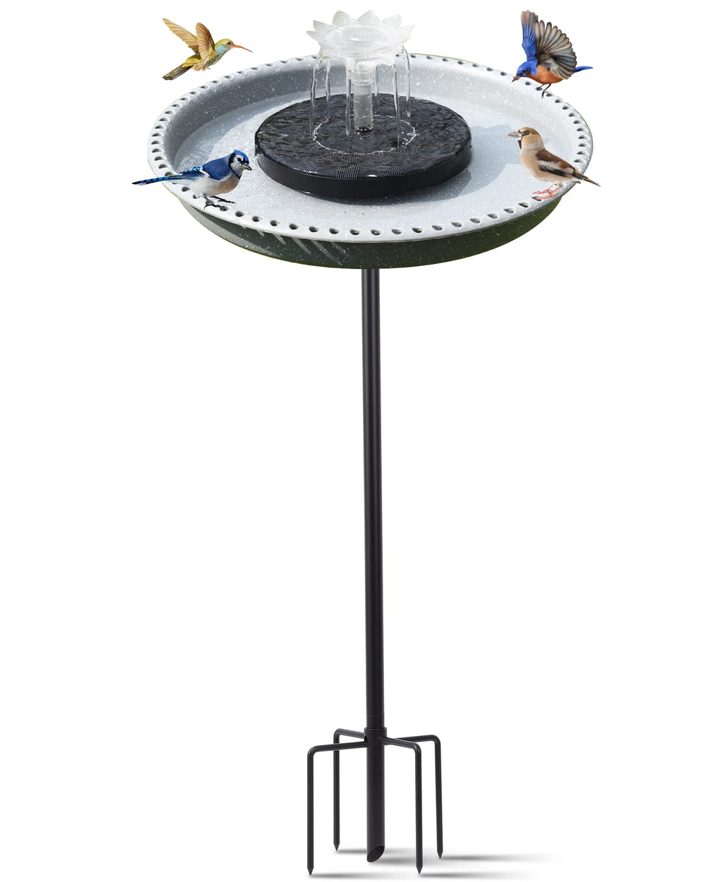 Feemiyo front view bird bath showing elegant basin and stake benefiting garden decor