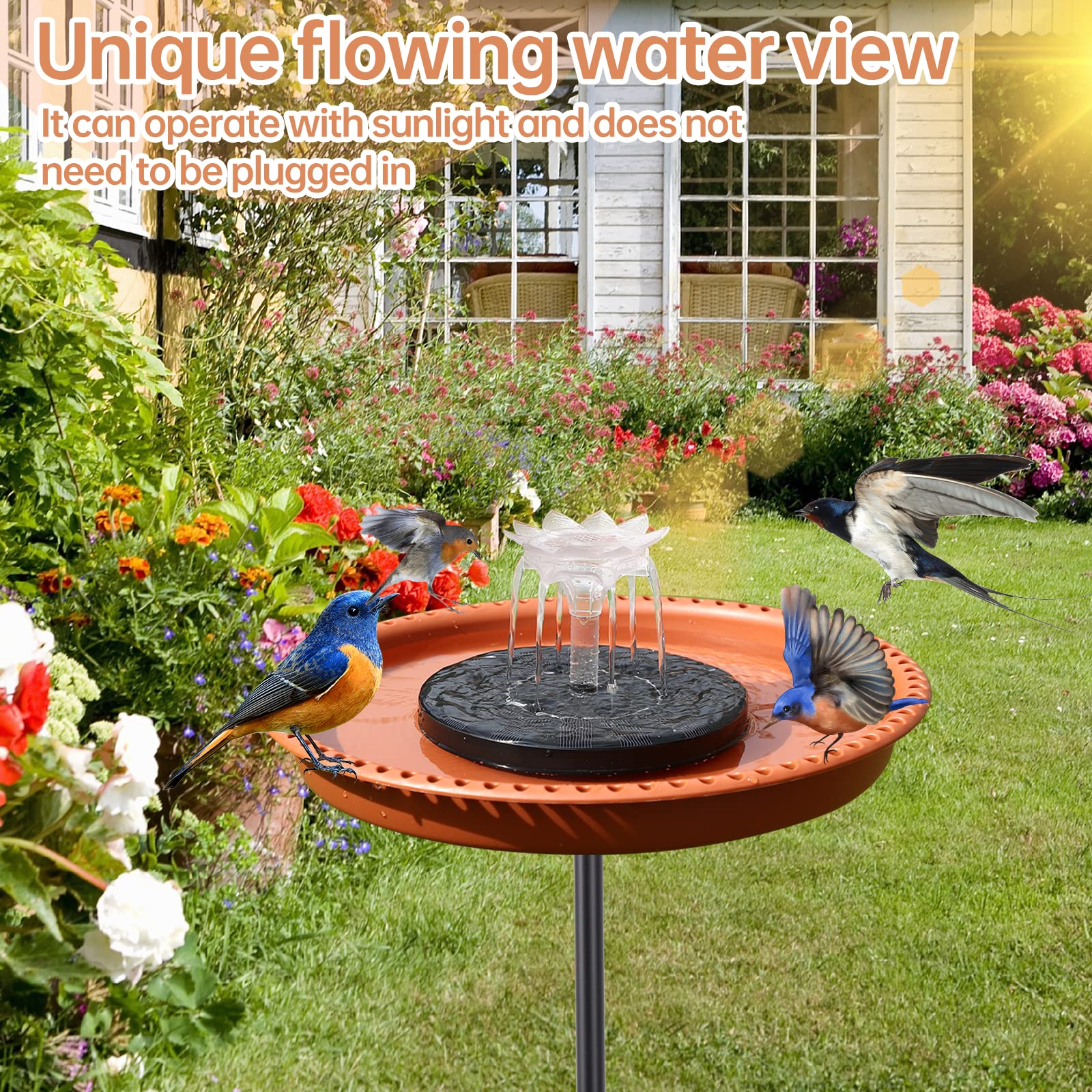 Feemiyo lotus nozzle close-up highlighting gentle water flow and attraction
