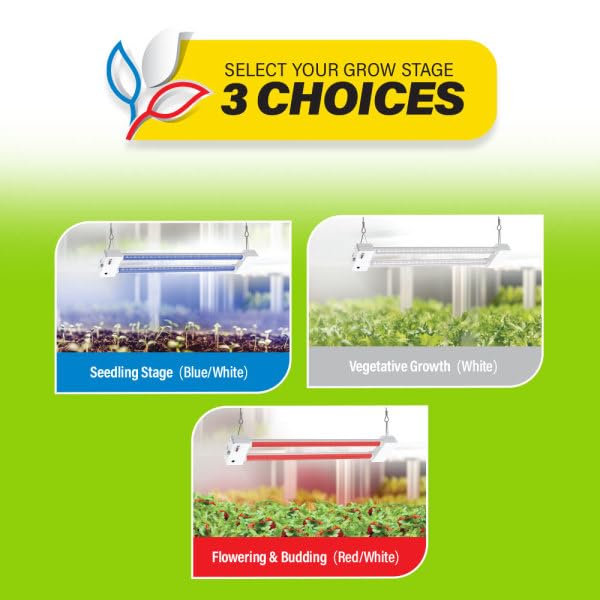 Feit Electric suspended grow light over seedlings showing even coverage benefit