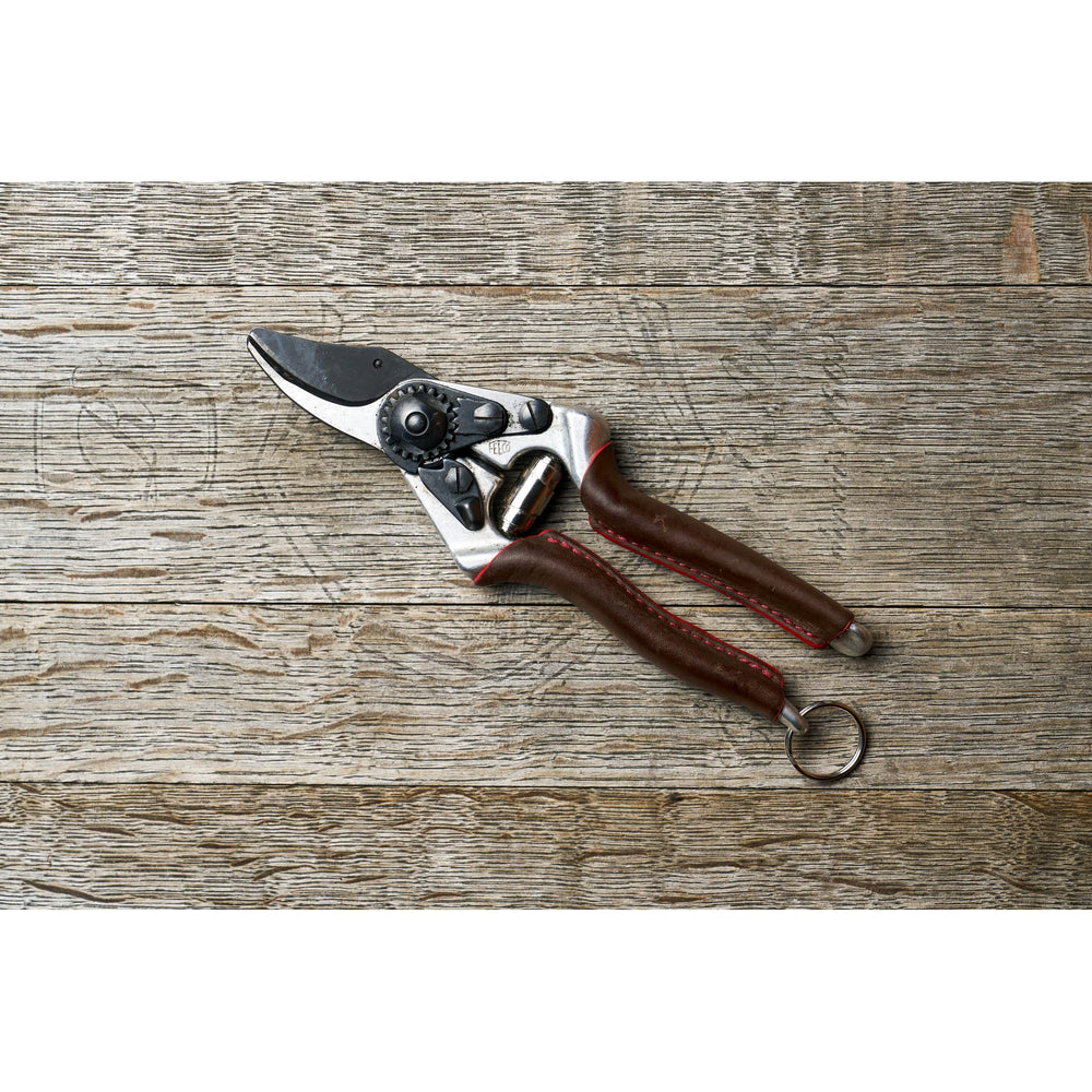 FELCO cutting a woody branch demonstrating precise bypass cuts and plant-friendly results