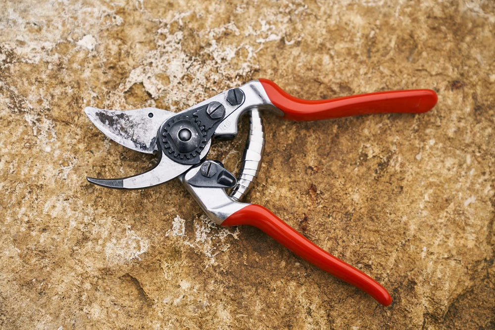 FELCO F 14 blade closeup highlighting carbon-steel edge for clean cuts