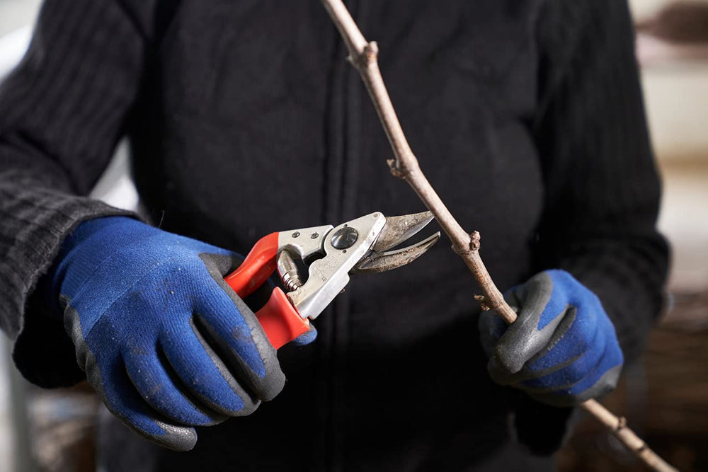 FELCO F 15 blade closeup showing carbon-steel edge for clean, precise cuts