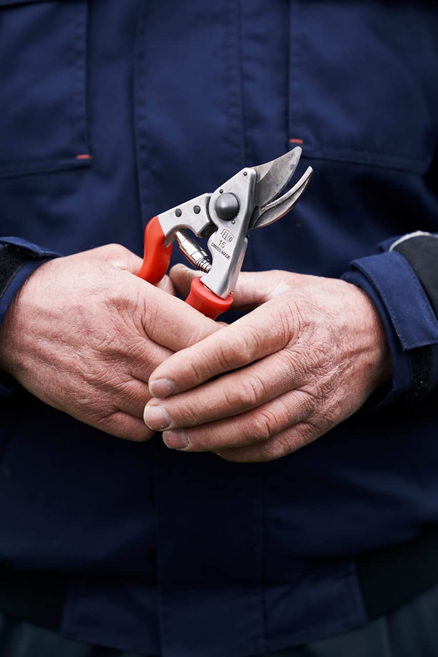 FELCO F 15 in garden pruning scenario showing manoeuvrability in tight branches