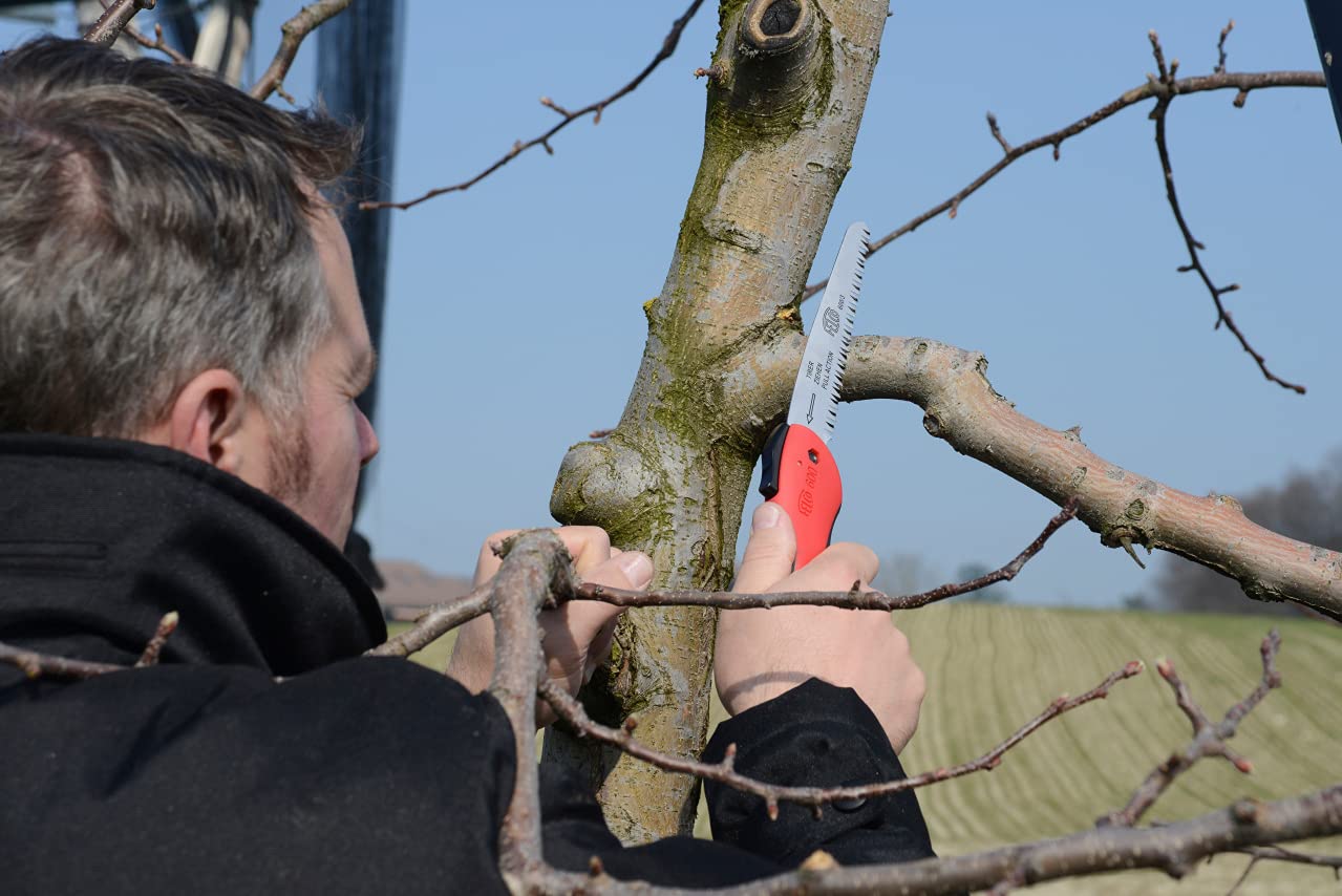 FELCO F 600 saw cutting a branch in hand demonstrating clean pull-stroke efficiency
